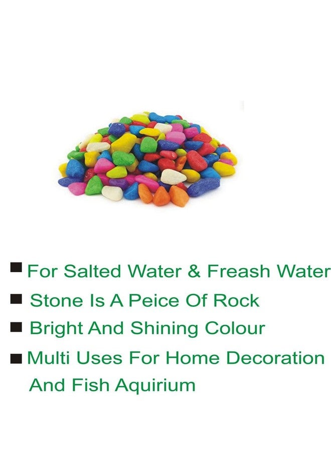 Somil Multicolor Pebbles/Stones for Garden, Plants, Lawns, Aquariums, Fish Pots, Home Decor, Vases, Furniture Filler. Size: 10-30mm, Shiny Multicolor -A290 - Image 2